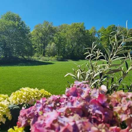Landhaus Talblick- Fruehstueckspension-Hotel Garni (Adults Only)