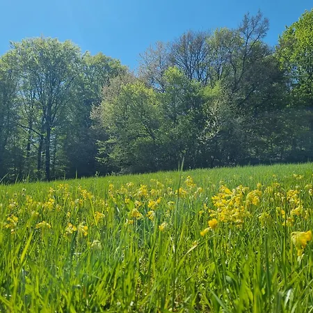 Landhaus Talblick- Fruehstueckspension (Adults Only) Otel Brotterode
