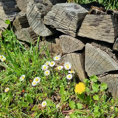 Landhaus Talblick- Fruehstueckspension (Adults Only) 4* Brotterode