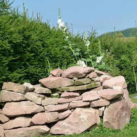Boutique Talblick-adult Only Hotel Brotterode