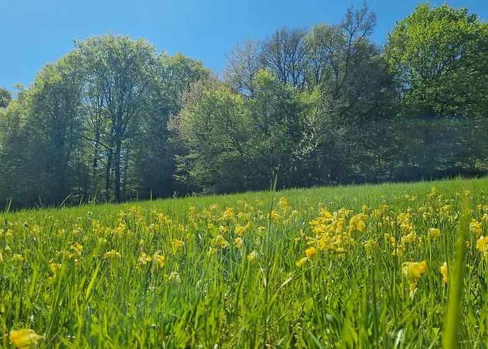 Talblick- Hotel Brotterode