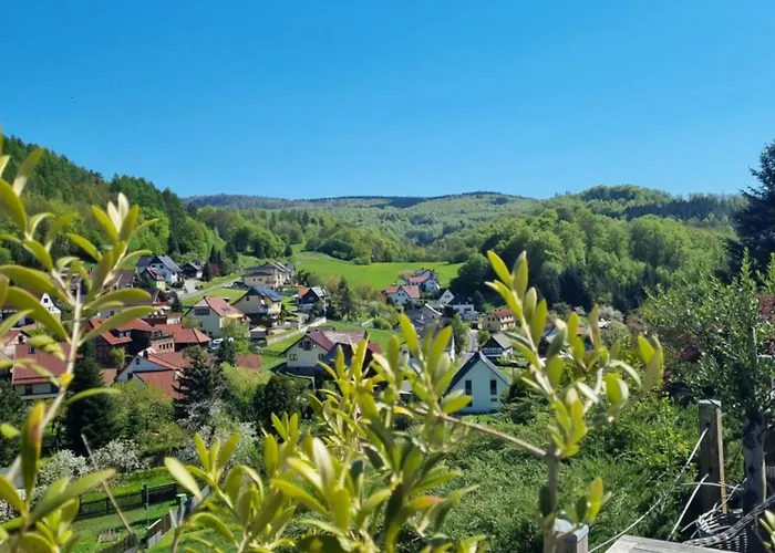Otel Landhaus Talblick- Fruehstueckspension (Adults Only) Brotterode