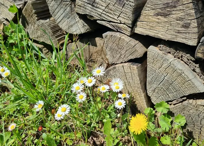 Talblick- 4* Brotterode